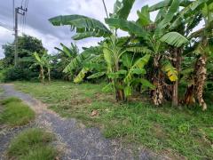 ขายที่ดินเปล่า เทิดราชันซอย 3/5/7 เข้าได้3 ทาง ใกล้สนามบินดอนเมือง-202508271520401756282840278.jpg