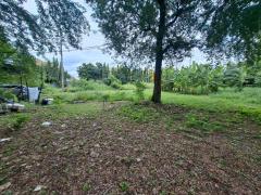 ขายที่ดินเปล่า เทิดราชันซอย 3/5/7 เข้าได้3 ทาง ใกล้สนามบินดอนเมือง-202508271520401756282840801.jpg