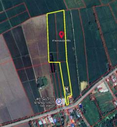 ขายที่ดินรวม 3 แปลง 13-1-71 ไร่ ตำบลท่าหมื่นราม อำเภอวังทอง จังหวัดพิษณุโลก