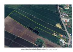 ขายที่ดินรวม 3 แปลง 13-1-71 ไร่ ตำบลท่าหมื่นราม อำเภอวังทอง จังหวัดพิษณุโลก-202508271542191756284139026.jpg