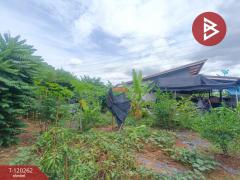 ขายบ้านเดี่ยว เนื้อที่ 1 งาน 35 ตร.วา ปากท่อ ราชบุรี-202508271544471756284287624.jpg