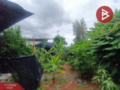 ขายบ้านเดี่ยว เนื้อที่ 1 งาน 35 ตร.วา ปากท่อ ราชบุรี-202508271544481756284288705.jpg