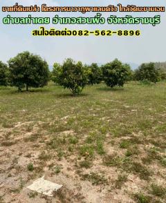 ขายที่ดินเปล่า โครงการนาวาภูผาแลนด์วิว ใกล้วัดมะขามเอน สวนผึ้ง ราชบุรี