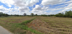 ขายที่ดิน ศรีสะเกษ อำเภอโพธิ์สุวรรณ