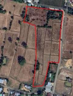 ขายที่ดิน ศรีสะเกษ อำเภอโพธิ์สุวรรณ-202508271629551756286995806.png