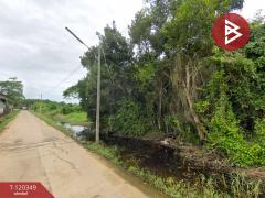 ขายที่ดิน เนื้อที่ 18 ไร่ 2 งาน 46.9 ตร.วา แกลง  ระยอง-202508271733311756290811921.jpg