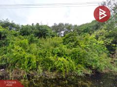 ขายที่ดิน เนื้อที่ 18 ไร่ 2 งาน 46.9 ตร.วา แกลง  ระยอง-202508271733321756290812506.jpg