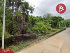 ขายที่ดิน เนื้อที่ 18 ไร่ 2 งาน 46.9 ตร.วา แกลง  ระยอง-202508271733331756290813404.jpg