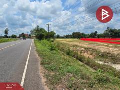 ขายทีดิน เนื้อที่ 3 ไร่ 84.9 ตร.วา ดงหลวง มุกดาหาร-202508271749151756291755556.jpg