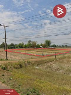 ขายทีดิน เนื้อที่ 3 ไร่ 84.9 ตร.วา ดงหลวง มุกดาหาร-202508271749171756291757138.jpg