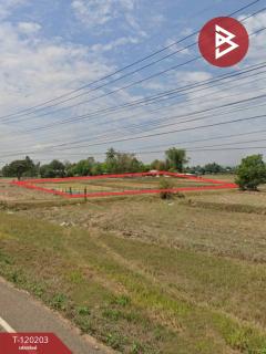 ขายทีดิน เนื้อที่ 3 ไร่ 84.9 ตร.วา ดงหลวง มุกดาหาร-202508271749171756291757655.jpg
