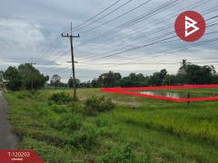 ขายทีดิน เนื้อที่ 3 ไร่ 84.9 ตร.วา ดงหลวง มุกดาหาร-202508271749181756291758174.jpg