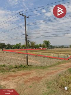 ขายทีดิน เนื้อที่ 3 ไร่ 84.9 ตร.วา ดงหลวง มุกดาหาร-202508271749191756291759221.jpg