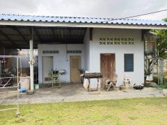 ขายที่ดินพร้อมบ้าน ทำเลดี ติดถนนมาลัยแมน อำเภอกำแพงแสน จังหวัดนครปฐม-202508281133401756355620360.jpg