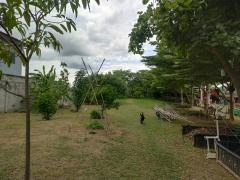 ขายที่ดินพร้อมบ้าน ทำเลดี ติดถนนมาลัยแมน อำเภอกำแพงแสน จังหวัดนครปฐม-202508281133411756355621452.jpg