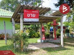  ขายที่ดินพร้อมรีสอร์ท เนื้อที่ 3 ไร่ 3 งาน 6 ตร.วา บ้านไผ่ ขอนแก่น-202508281247231756360043748.jpg