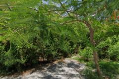 ขายที่ดินเปล่า 2 แปลง ขนาด 160 ตารางวา ถนนเณรแก้ว ซอย 7 ใกล้บขส. สุพรรณบุรี-202508281313581756361638971.jpg