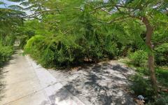 ขายที่ดินเปล่า 2 แปลง ขนาด 160 ตารางวา ถนนเณรแก้ว ซอย 7 ใกล้บขส. สุพรรณบุรี-202508281313591756361639495.jpg