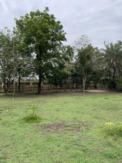 ขายที่ดินพร้อมบ้านหรูสองชั้นหลังใหญ่ ใกล้ตัวเมืองนครนายก-202508281316511756361811447.jpg