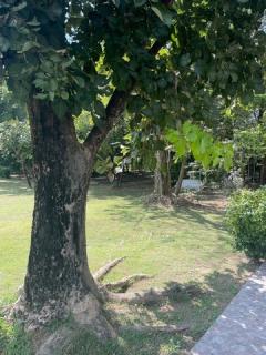 ขายที่ดินพร้อมบ้านหรูสองชั้นหลังใหญ่ ใกล้ตัวเมืองนครนายก-202508281316511756361811927.jpg