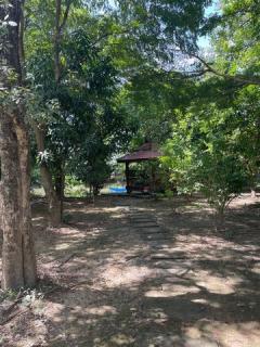 ขายที่ดินพร้อมบ้านหรูสองชั้นหลังใหญ่ ใกล้ตัวเมืองนครนายก-202508281316521756361812406.jpg