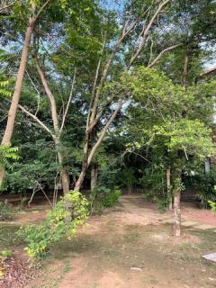 ขายที่ดินพร้อมบ้านหรูสองชั้นหลังใหญ่ ใกล้ตัวเมืองนครนายก-202508281316531756361813841.jpg