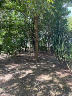 ขายที่ดินพร้อมบ้านหรูสองชั้นหลังใหญ่ ใกล้ตัวเมืองนครนายก-202508281316551756361815276.jpg
