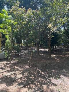 ขายที่ดินพร้อมบ้านหรูสองชั้นหลังใหญ่ ใกล้ตัวเมืองนครนายก-202508281316551756361815754.jpg