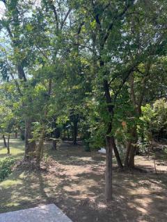 ขายที่ดินพร้อมบ้านหรูสองชั้นหลังใหญ่ ใกล้ตัวเมืองนครนายก-202508281316561756361816720.jpg