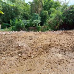 ขายที่ดิน-ต.หนองควาย-อ.หางดง-พื้นที่-1