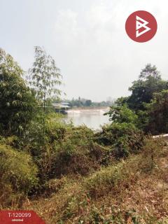 ขายที่ดินเปล่า เนื้อที่ 2 งาน โพธาราม ราชบุรี ริมแม่น้ำแม่กลอง-202508281328161756362496919.jpg