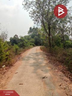 ขายที่ดินเปล่า เนื้อที่ 2 งาน โพธาราม ราชบุรี ริมแม่น้ำแม่กลอง-202508281328171756362497470.jpg