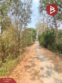 ขายที่ดินเปล่า เนื้อที่ 2 งาน โพธาราม ราชบุรี ริมแม่น้ำแม่กลอง-202508281328181756362498020.jpg