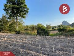 ขายที่ดิน เนื้อที่ 10 ไร่ 1 งาน 69 ตารางวา สัตหีบ ชลบุรี-202508281340471756363247461.jpg