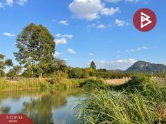 ขายที่ดิน เนื้อที่ 10 ไร่ 1 งาน 69 ตารางวา สัตหีบ ชลบุรี-202508281340481756363248025.jpg