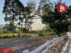 ขายที่ดิน เนื้อที่ 10 ไร่ 1 งาน 69 ตารางวา สัตหีบ ชลบุรี-202508281340481756363248559.jpg