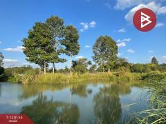 ขายที่ดิน เนื้อที่ 10 ไร่ 1 งาน 69 ตารางวา สัตหีบ ชลบุรี-202508281340491756363249114.jpg