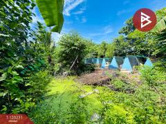 ขายที่ดิน เนื้อที่ 50 ตร.วา ลำลูกกา คลองสาม ปทุมธานี-202508281426551756366015996.jpg