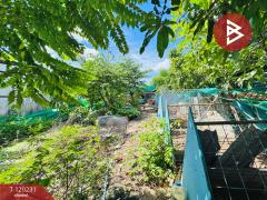 ขายที่ดิน เนื้อที่ 50 ตร.วา ลำลูกกา คลองสาม ปทุมธานี-202508281426571756366017075.jpg