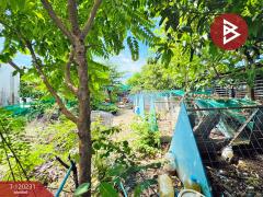 ขายที่ดิน เนื้อที่ 50 ตร.วา ลำลูกกา คลองสาม ปทุมธานี-202508281426571756366017620.jpg