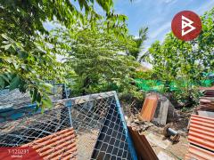 ขายที่ดิน เนื้อที่ 50 ตร.วา ลำลูกกา คลองสาม ปทุมธานี-202508281426591756366019243.jpg