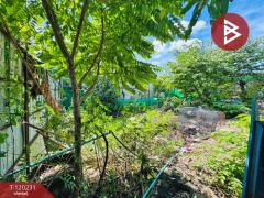 ขายที่ดิน เนื้อที่ 50 ตร.วา ลำลูกกา คลองสาม ปทุมธานี-202508281426591756366019788.jpg