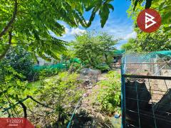 ขายที่ดิน เนื้อที่ 50 ตร.วา ลำลูกกา คลองสาม ปทุมธานี-202508281427001756366020333.jpg