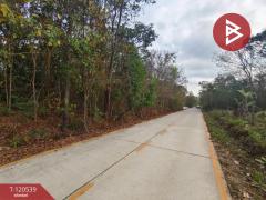 ขายที่ดิน เนื้อที่ 3 งาน 44.4 ตร.วา ท่าช้าง จันทบุรี-202508281507341756368454886.jpg