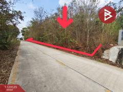 ขายที่ดิน เนื้อที่ 3 งาน 44.4 ตร.วา ท่าช้าง จันทบุรี-202508281507371756368457640.jpg