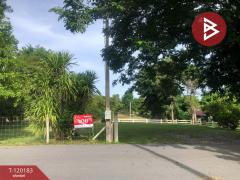 ขายที่ดิน-เนื้อที่-1-งาน-97.4-ตร.วา-บ้านย