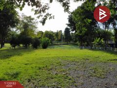 ขายที่ดิน เนื้อที่ 1 งาน 97.4 ตร.วา บ้านยาง นครปฐม-202508281513461756368826350.jpg