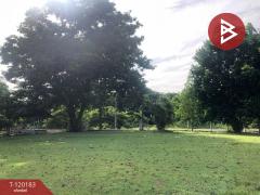 ขายที่ดิน เนื้อที่ 1 งาน 97.4 ตร.วา บ้านยาง นครปฐม-202508281513461756368826896.jpg