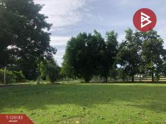 ขายที่ดิน เนื้อที่ 1 งาน 97.4 ตร.วา บ้านยาง นครปฐม-202508281513471756368827452.jpg