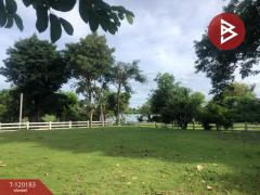 ขายที่ดิน เนื้อที่ 1 งาน 97.4 ตร.วา บ้านยาง นครปฐม-202508281513481756368828004.jpg